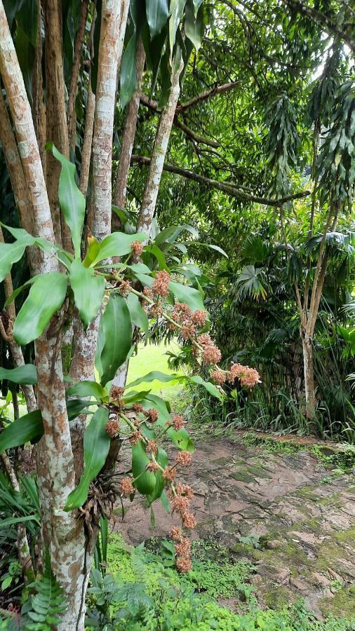 Holiday home Sitio Alto Da Montanha - Voce Em Paz Com A Natureza