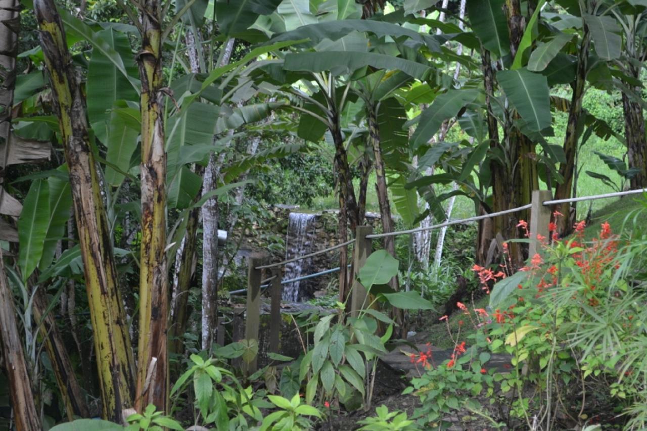 Sitio Alto Da Montanha - Voce Em Paz Com A Natureza * Pacoti