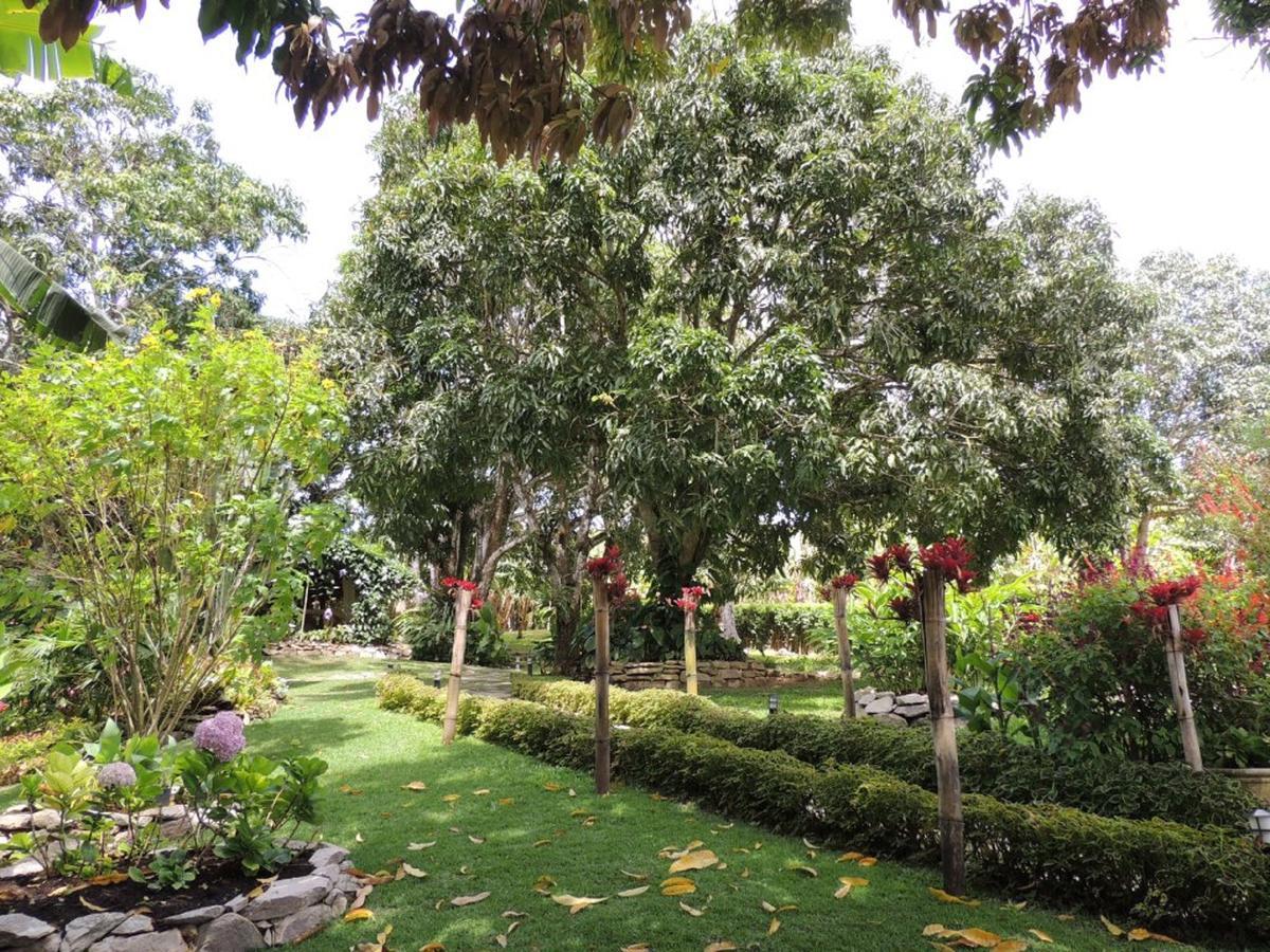 Sitio Alto Da Montanha - Voce Em Paz Com A Natureza Holiday home *