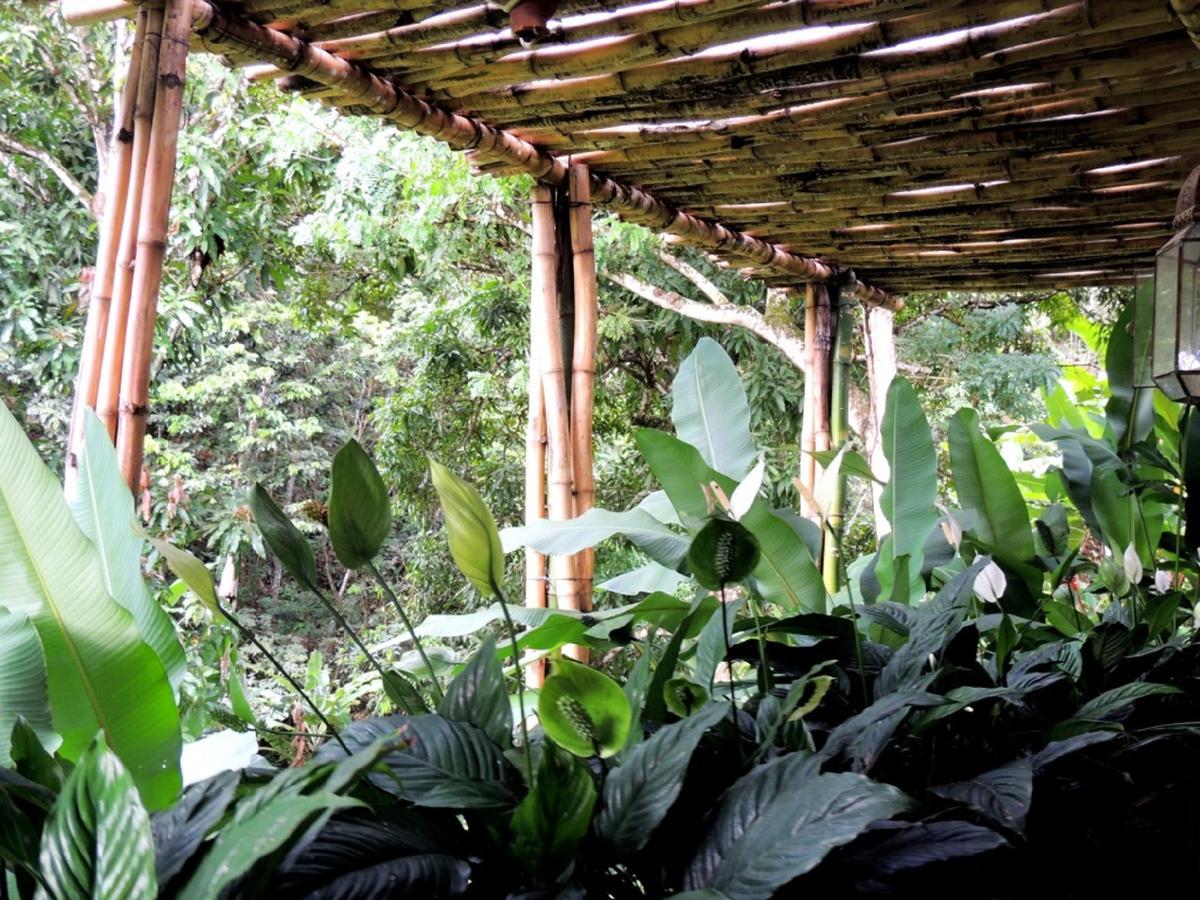 Sitio Alto Da Montanha - Voce Em Paz Com A Natureza