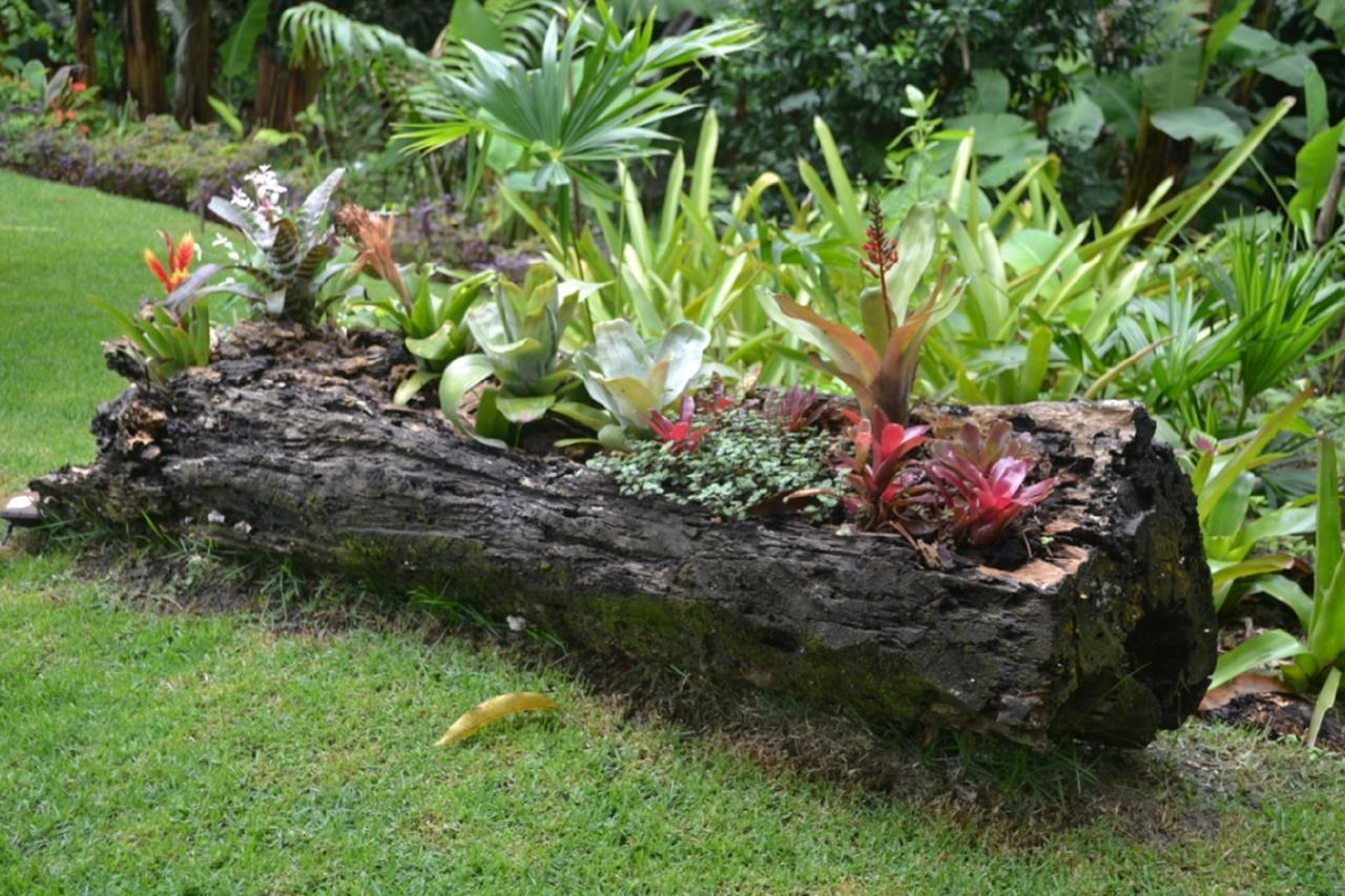 Sitio Alto Da Montanha - Voce Em Paz Com A Natureza * Pacoti