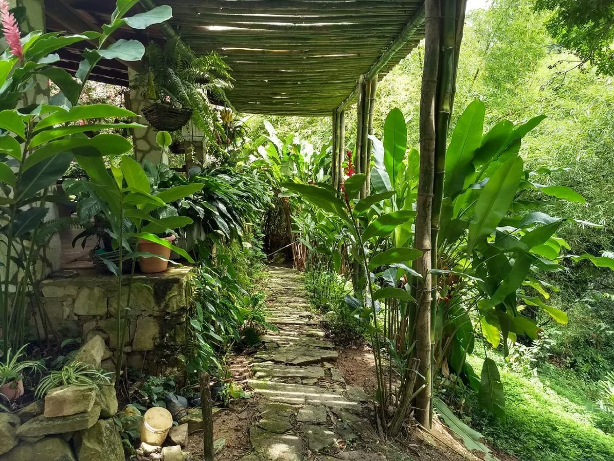 Sitio Alto Da Montanha - Voce Em Paz Com A Natureza Holiday home *