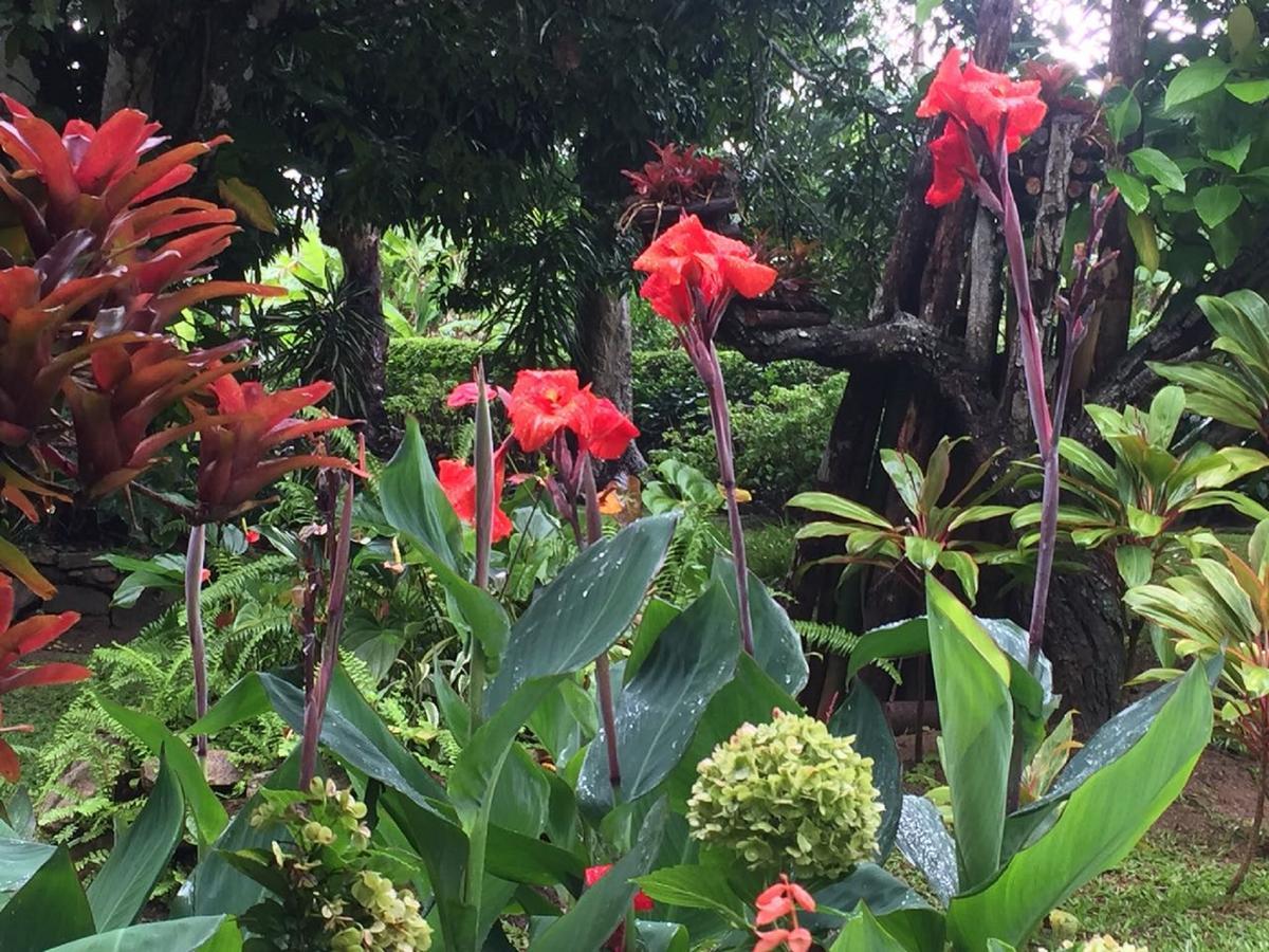 Sitio Alto Da Montanha - Voce Em Paz Com A Natureza Pacoti