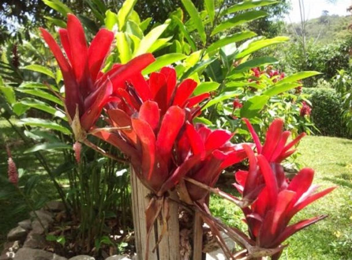 Holiday home Sitio Alto Da Montanha - Voce Em Paz Com A Natureza *